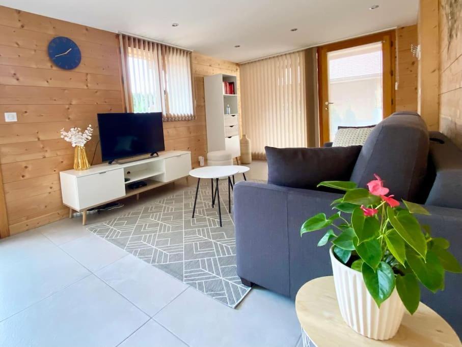 Androsace Appartement Dans Chalet Bois Avec Jacuzzi Privatif Terrasse Et Vue Montagne Les Villards-sur-Thones Экстерьер фото